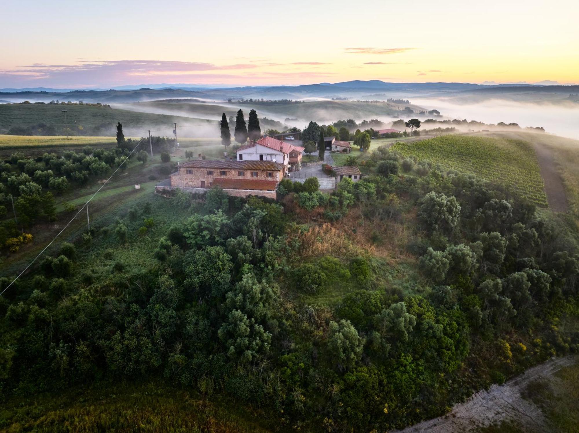 Agriturismo La Buca Di Bellugi San Quirico d'Orcia Eksteriør billede