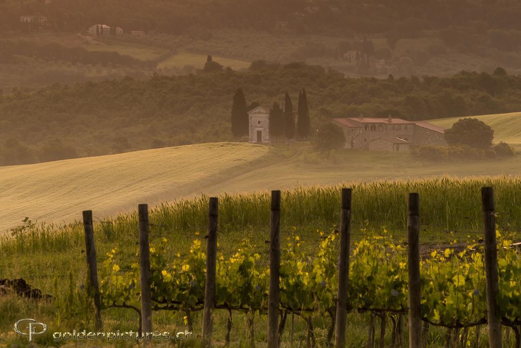Agriturismo La Buca Di Bellugi San Quirico d'Orcia Eksteriør billede