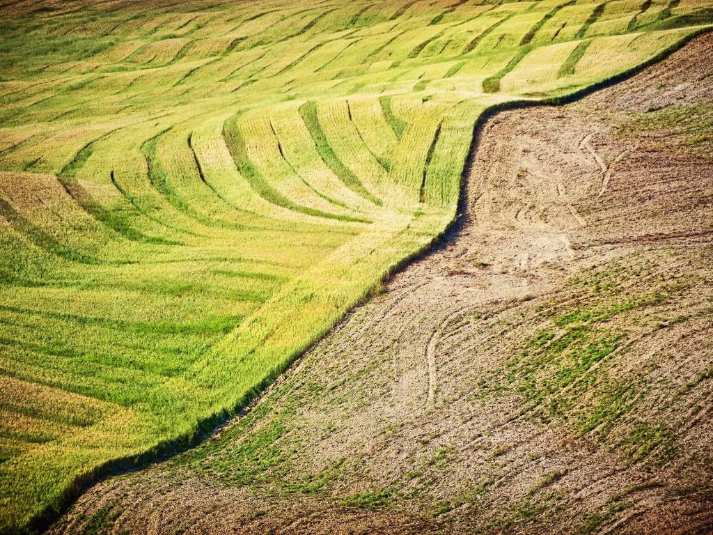Agriturismo La Buca Di Bellugi San Quirico d'Orcia Eksteriør billede