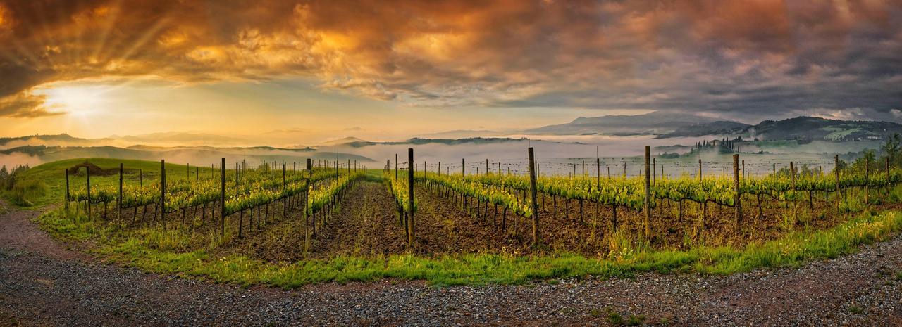 Agriturismo La Buca Di Bellugi San Quirico d'Orcia Eksteriør billede